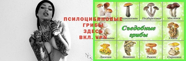 первитин Алексеевка