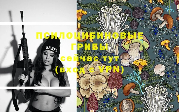 прущие грибы Алзамай