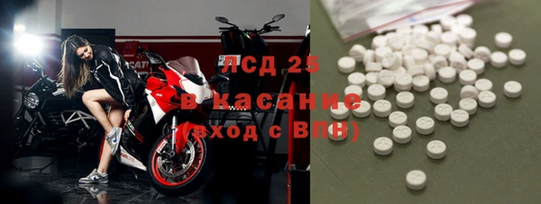 прущие грибы Алзамай
