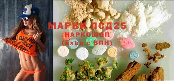 прущие грибы Алзамай