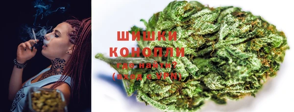 прущие грибы Алзамай