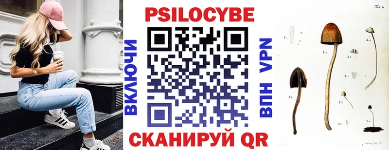 как найти закладки  Катайск  Псилоцибиновые грибы мицелий 